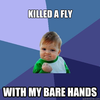 Killed a fly with my bare hands  Success Kid