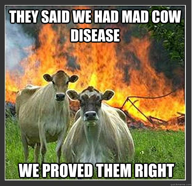 They said we had mad cow disease We proved them right  Evil cows