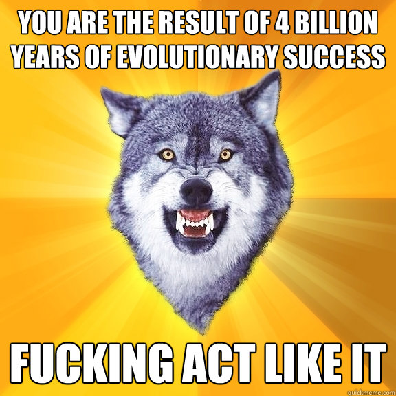 you are the result of 4 billion years of evolutionary success fucking act like it - you are the result of 4 billion years of evolutionary success fucking act like it  Courage Wolf