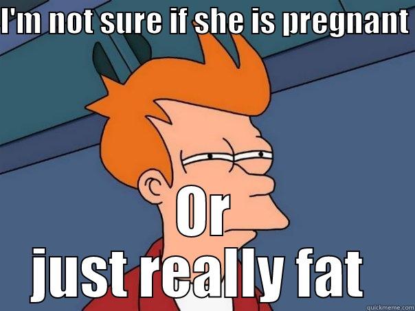 I'M NOT SURE IF SHE IS PREGNANT  OR JUST REALLY FAT  Futurama Fry