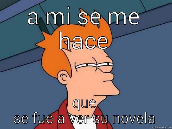 A MI SE ME HACE QUE SE FUE A VER SU NOVELA Futurama Fry