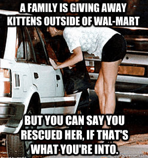 A family is giving away kittens outside of Wal-Mart But you can say you rescued her, if that's what you're into.  Karma Whore