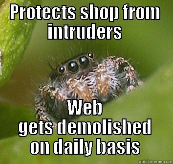 PROTECTS SHOP FROM INTRUDERS WEB GETS DEMOLISHED ON DAILY BASIS Misunderstood Spider