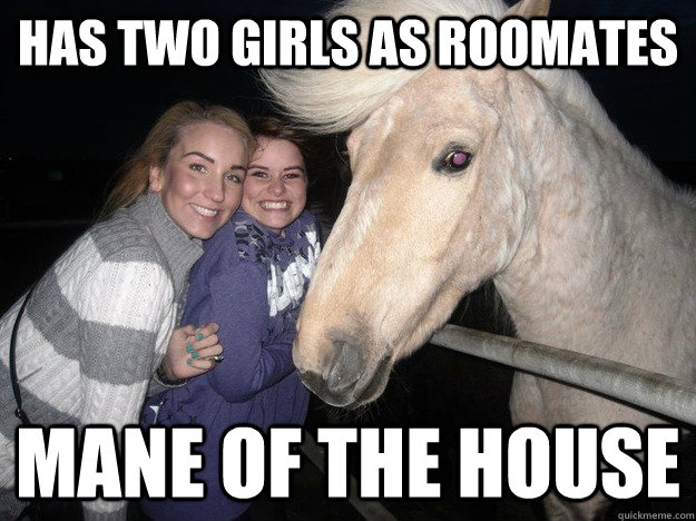 Has two girls as roomates Mane of the house  Ridiculously Photogenic Horse