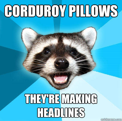 CORDUROY PILLOWS THEY'RE MAKING HEADLINES  