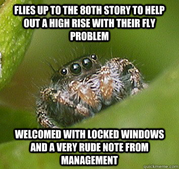 Flies up to the 80th story to help out a high rise with their fly problem Welcomed with locked windows and a very rude note from management  Misunderstood Spider