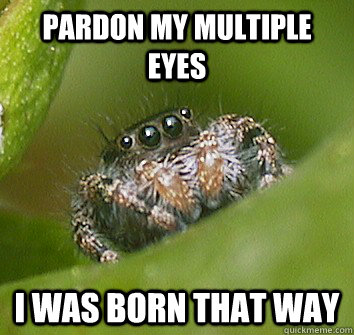 PARDON my multiple eyes I was born that way  Misunderstood Spider