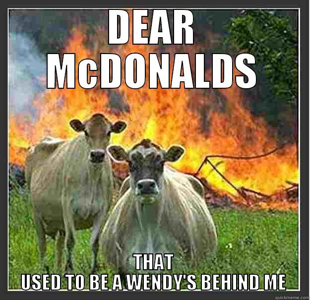 MAD COW - DEAR MCDONALDS THAT USED TO BE A WENDY'S BEHIND ME Evil cows