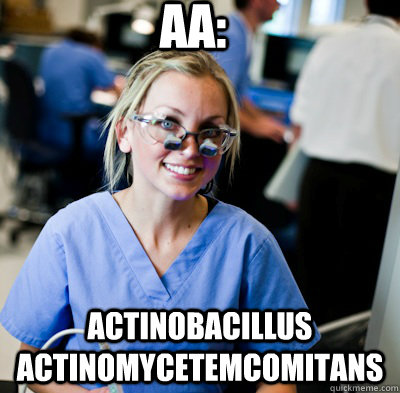 AA: actinobacillus actinomycetemcomitans - AA: actinobacillus actinomycetemcomitans  overworked dental student