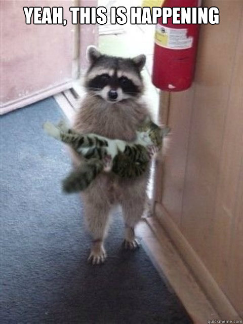 YEAH, THIS IS HAPPENING  - YEAH, THIS IS HAPPENING   Raccoon cat hostage