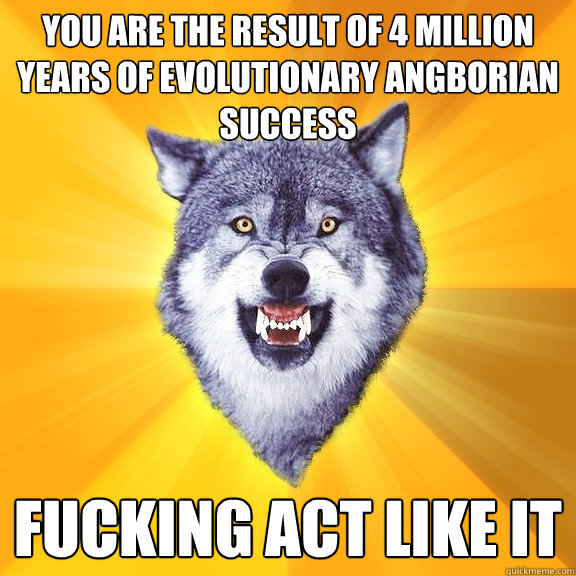 you are the result of 4 million years of evolutionary angborian success fucking act like it  Courage Wolf