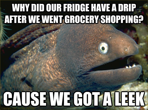 Why did our fridge have a drip after we went grocery shopping? Cause we got a leek  Bad Joke Eel