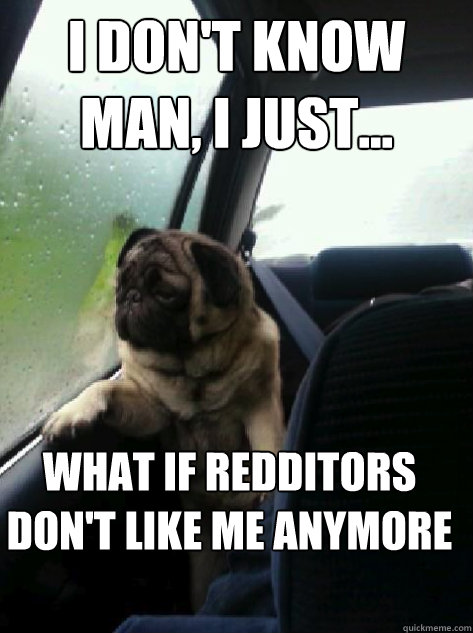 i don't know man, i just... what if redditors don't like me anymore  Introspective Pug