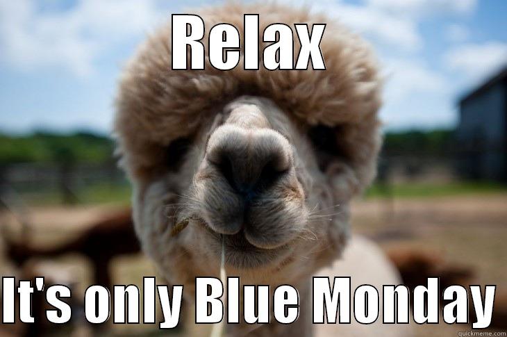 Blue Monday - RELAX  IT'S ONLY BLUE MONDAY Misc