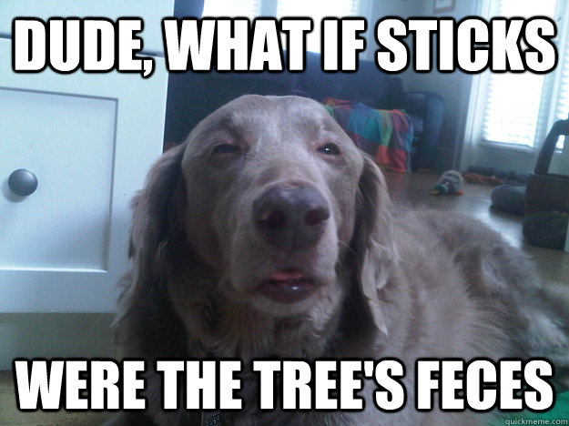 Dude, what if sticks were the tree's feces  10 Dog