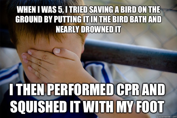 When I was 5, I tried saving a bird on the ground by putting it in the bird bath and nearly drowned it  I then performed CPR and squished it with my foot  Confession kid