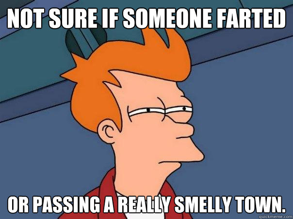 Not sure if someone farted Or passing a really smelly town.  Futurama Fry