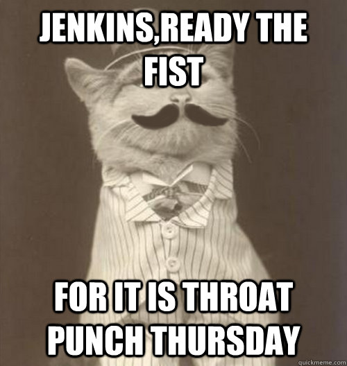 Jenkins,ready the fist For it is Throat Punch Thursday  Original Business Cat