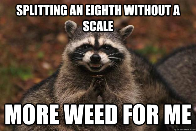 Splitting an eighth without a scale more weed for me  Evil Plotting Raccoon