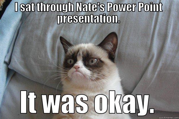 I SAT THROUGH NATE'S POWER POINT PRESENTATION. IT WAS OKAY. Grumpy Cat