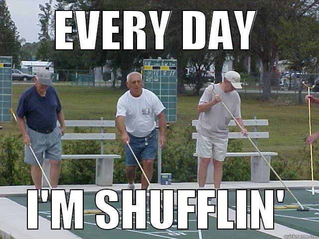 SHUFFLE bOARD - EVERY DAY I'M SHUFFLIN' Misc