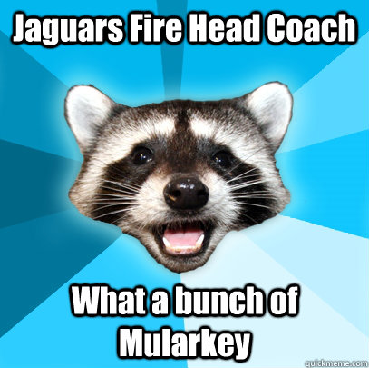 Jaguars Fire Head Coach What a bunch of Mularkey  Lame Pun Coon