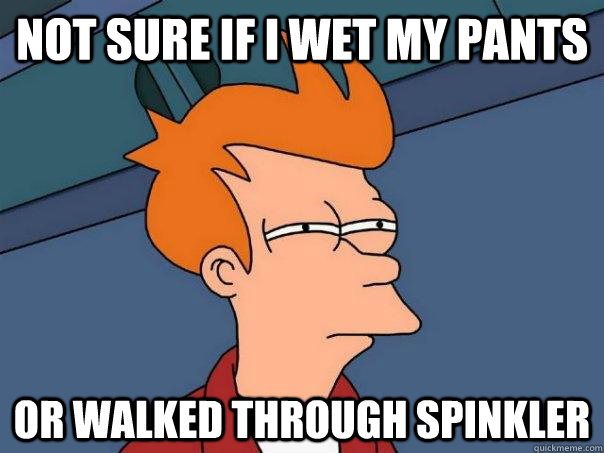 Not sure if i wet my pants Or walked through spinkler - Not sure if i wet my pants Or walked through spinkler  Futurama Fry