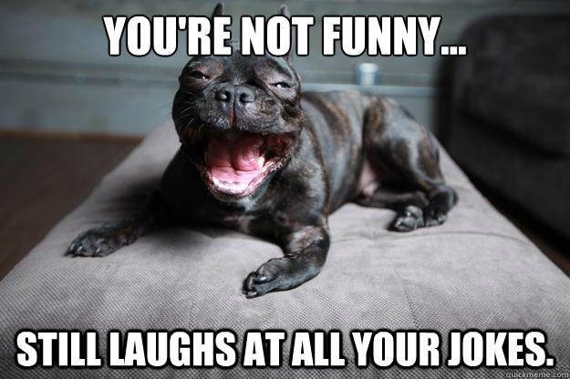 You're not funny... Still laughs at all your jokes. - You're not funny... Still laughs at all your jokes.  Mans Best Friend