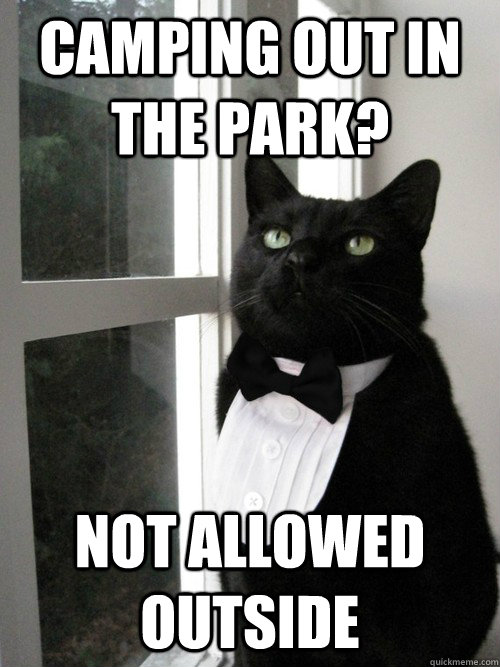 Camping out in the park? Not allowed outside  One Percent Cat