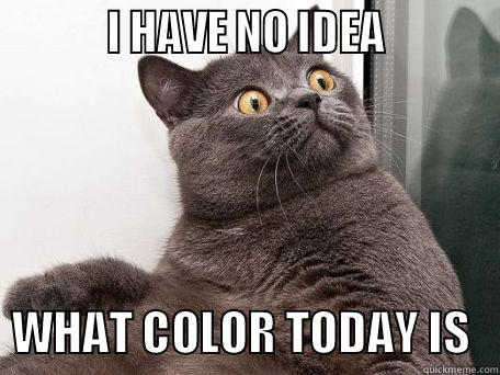           I HAVE NO IDEA             WHAT COLOR TODAY IS   conspiracy cat