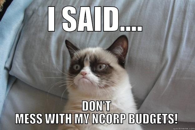 I SAID.... DON'T MESS WITH MY NCORP BUDGETS! Grumpy Cat