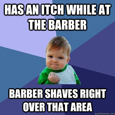 Has an itch while at the barber barber shaves right over that area - Has an itch while at the barber barber shaves right over that area  Success Kid