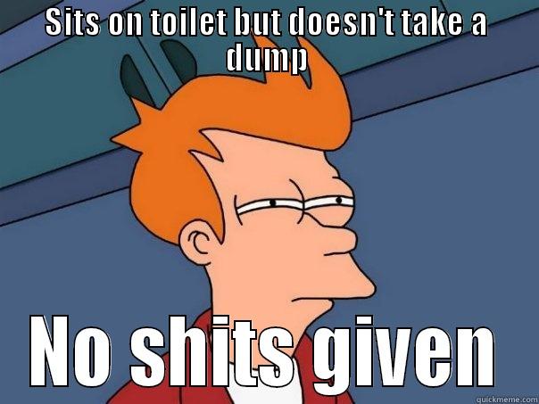 SITS ON TOILET BUT DOESN'T TAKE A DUMP NO SHITS GIVEN Futurama Fry