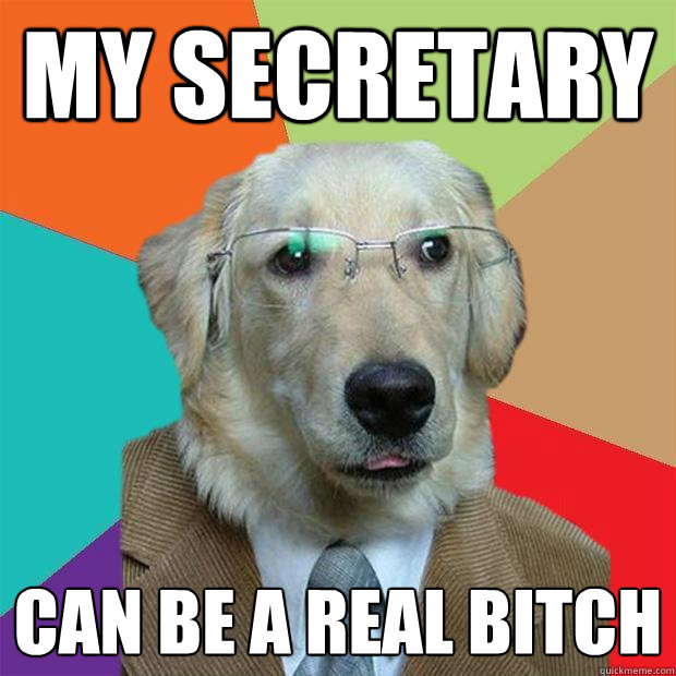 My secretary can be a real bitch  Business Dog