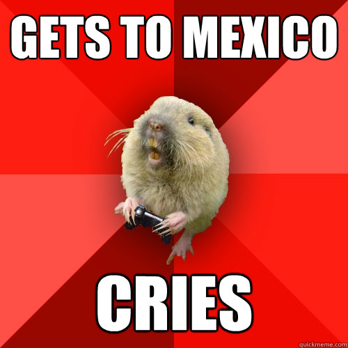 Gets to mexico cries  Gaming Gopher