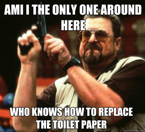 AMI I THE ONLY ONE AROUND HERE WHO KNOWS HOW TO REPLACE THE TOILET PAPER - AMI I THE ONLY ONE AROUND HERE WHO KNOWS HOW TO REPLACE THE TOILET PAPER  Misc