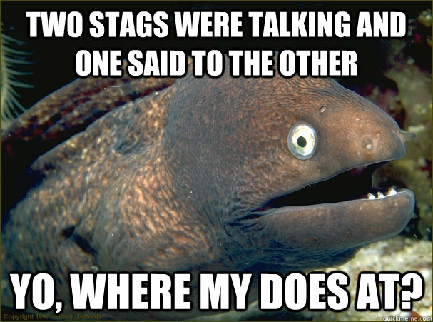 two stags were talking and one said to the other yo, where my does at?  Bad Joke Eel