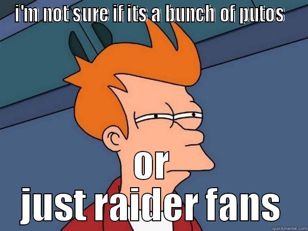 I'M NOT SURE IF ITS A BUNCH OF PUTOS  OR JUST RAIDER FANS Futurama Fry