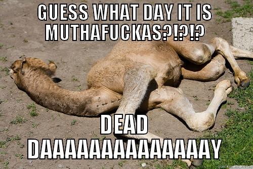 GUESS WHAT DAY IT IS MUTHAFUCKAS?!?!? DEAD DAAAAAAAAAAAAAAY Misc