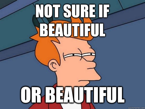 Not sure if Beautiful Or beautiful  Futurama Fry