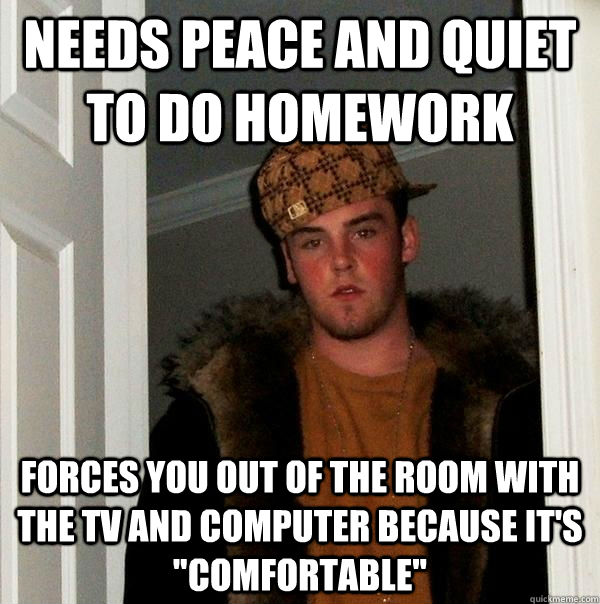 needs peace and quiet to do homework forces you out of the room with the tv and computer because it's 