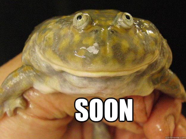 Soon - Soon  Soon Frog