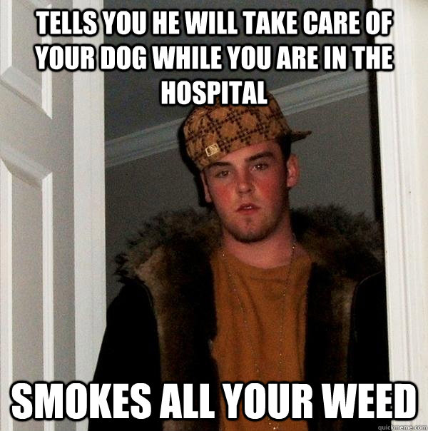 Tells you he will take care of your dog while you are in the hospital Smokes all your weed - Tells you he will take care of your dog while you are in the hospital Smokes all your weed  Scumbag Steve