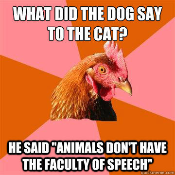 What did the dog say to the cat? He said 