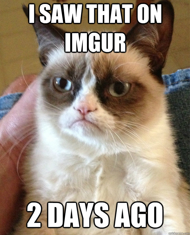 I Saw that on imgur 2 days ago  Grumpy Cat