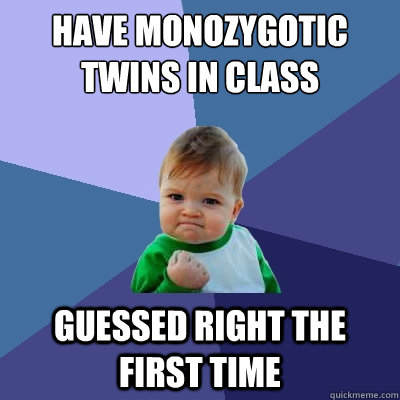 Have monozygotic twins in class guessed right the first time  Success Kid