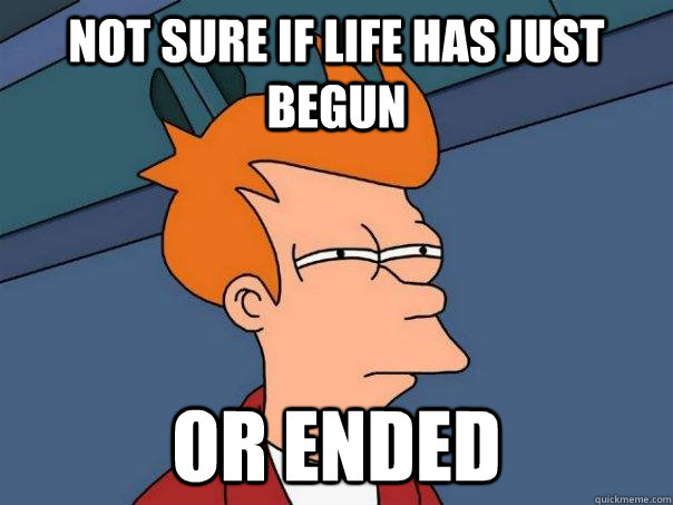 not sure if life has just begun Or ended  Futurama Fry