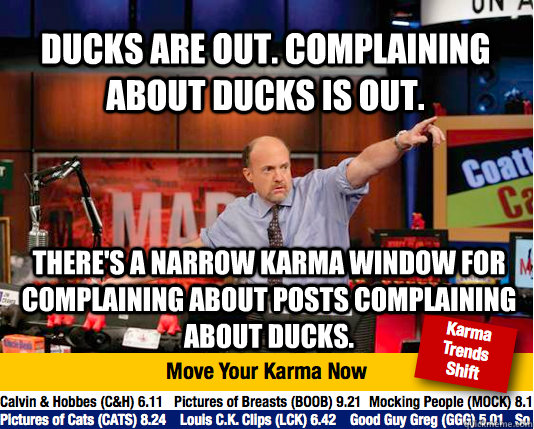 Ducks are out. Complaining about ducks is out. There's a narrow Karma window for complaining about posts complaining about ducks. - Ducks are out. Complaining about ducks is out. There's a narrow Karma window for complaining about posts complaining about ducks.  Mad Karma with Jim Cramer