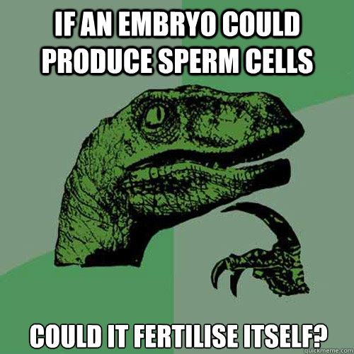 if AN EMBRYO COULD PRODUCE SPERM CELLS COULD IT FERTILISE ITSELF?  Philosoraptor