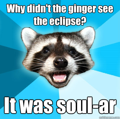 Why didn't the ginger see the eclipse? It was soul-ar  Lame Pun Coon